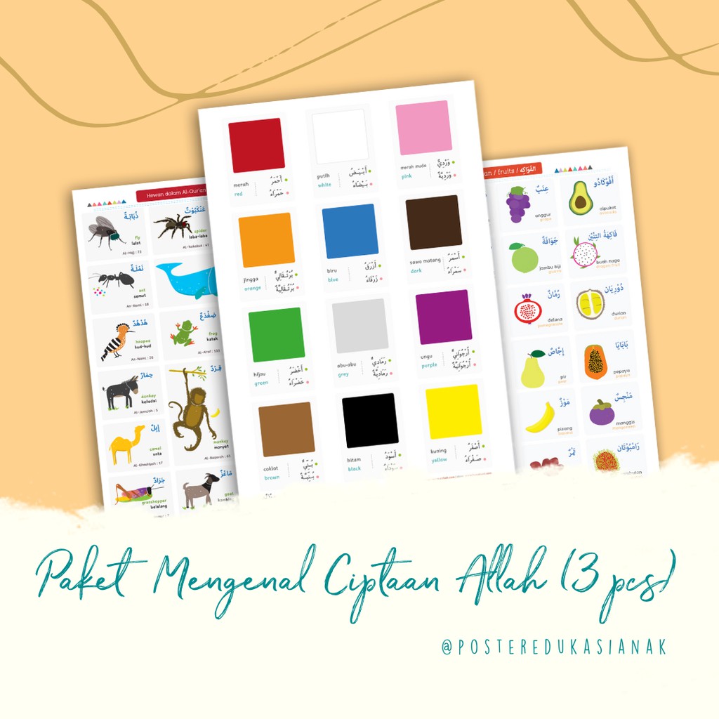 Paket Poster Belajar Mengenal Ciptaan Allah terdiri dari Poster Buah, Hewan, dan Warna