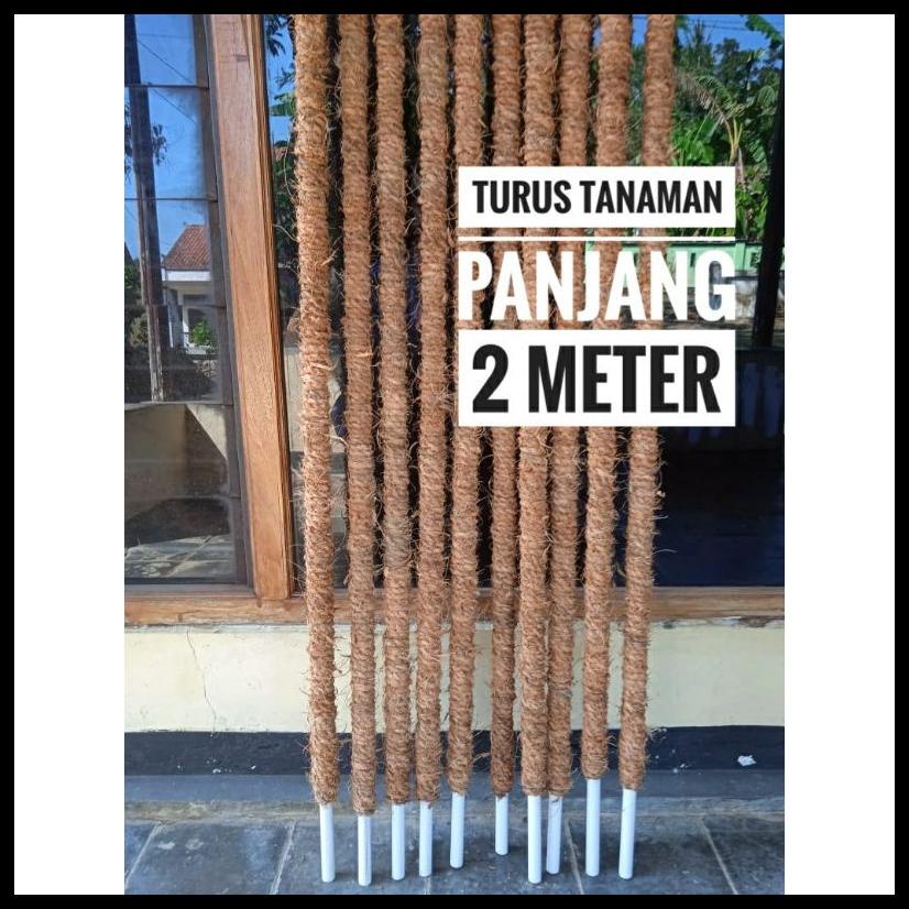 TERBARU TURUS TANAMAN 2 METER - TURUS PIPA TANAMAN 2 METER SALE