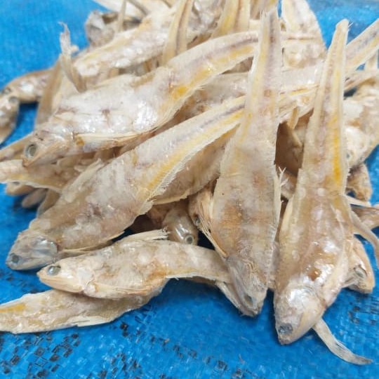 

Q121Sa Ikan Asin Bulu Ayam Murah Per 250Gram D51qs44