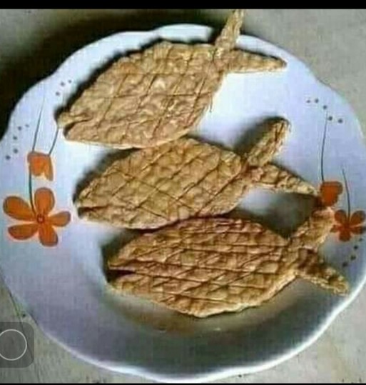 Macrame Plant Hanger / Mph 002 / Gantungan Pot / Plant Hangers