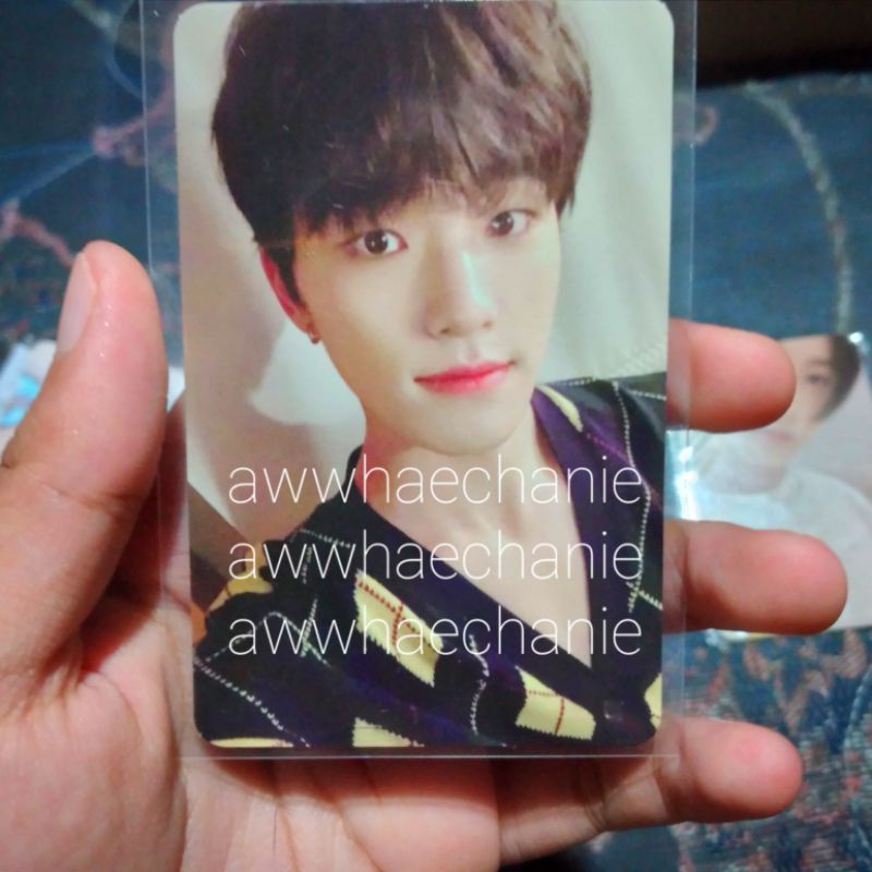 Seventeen Henggarae Dino Pc Set ver