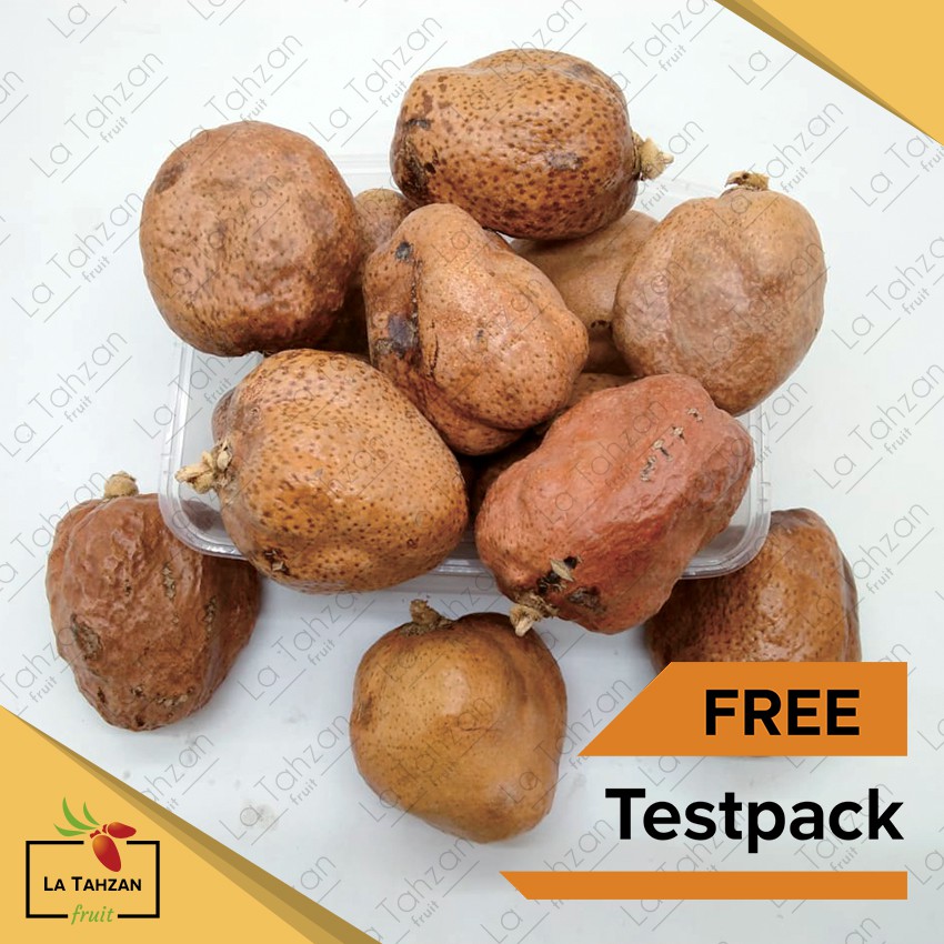 Buah Zuriat Mesir / Doum Original 500 gram FREE Testpack Original