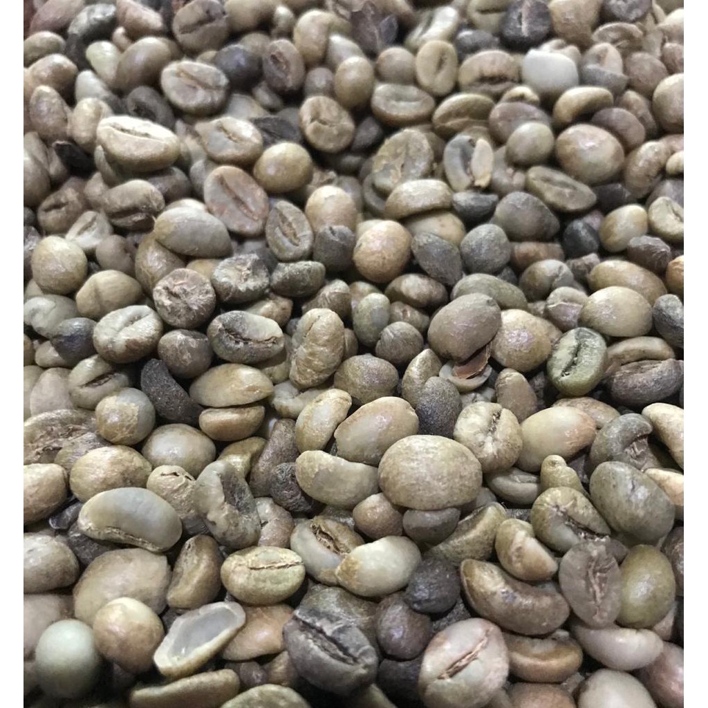 green bean   biji kopi mentah robusta kepahiang bengkulu 1kg 1 kg