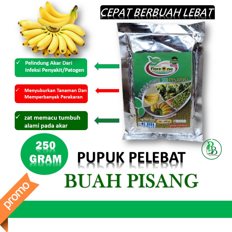 Pupuk Hayati pisang keju, Boster Buah Pisang Berbuah Lebat Anti Layu Fusarium