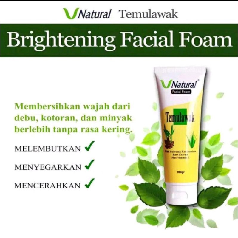 V NATURAL TEMULAWAK FACIAL FOAM