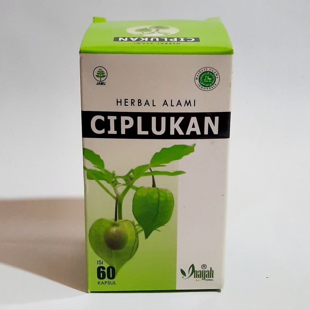 Kapsul Ciplukan Herbal Alami 60 Kapsul Inayah Herbal