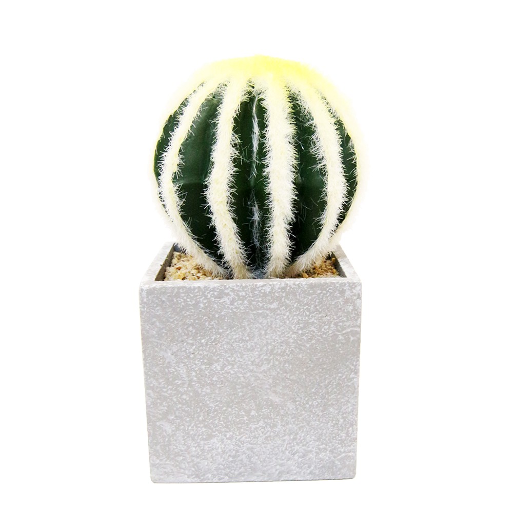 

JYSK Tanaman Hias Artificial Cactus YXX Assorted