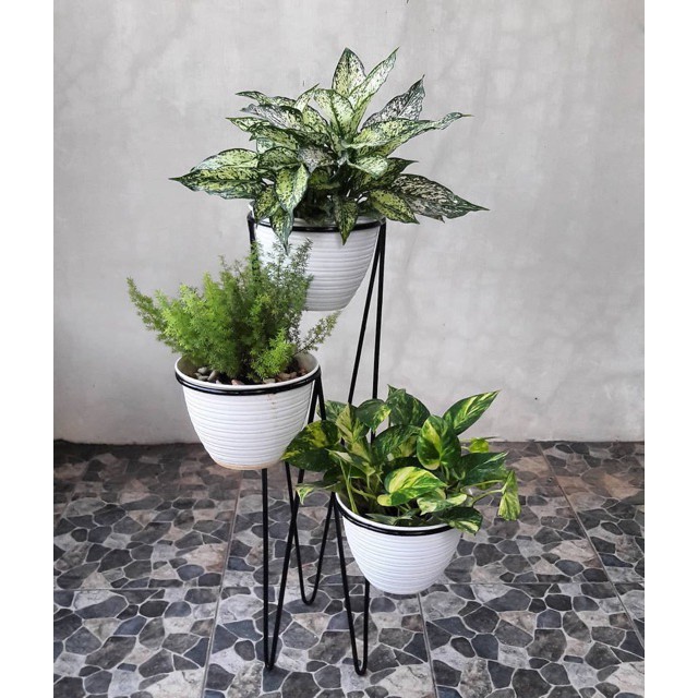 TINGGI 60CM Standing Pot 3in1 / POT DUDUK 3 LUBANG