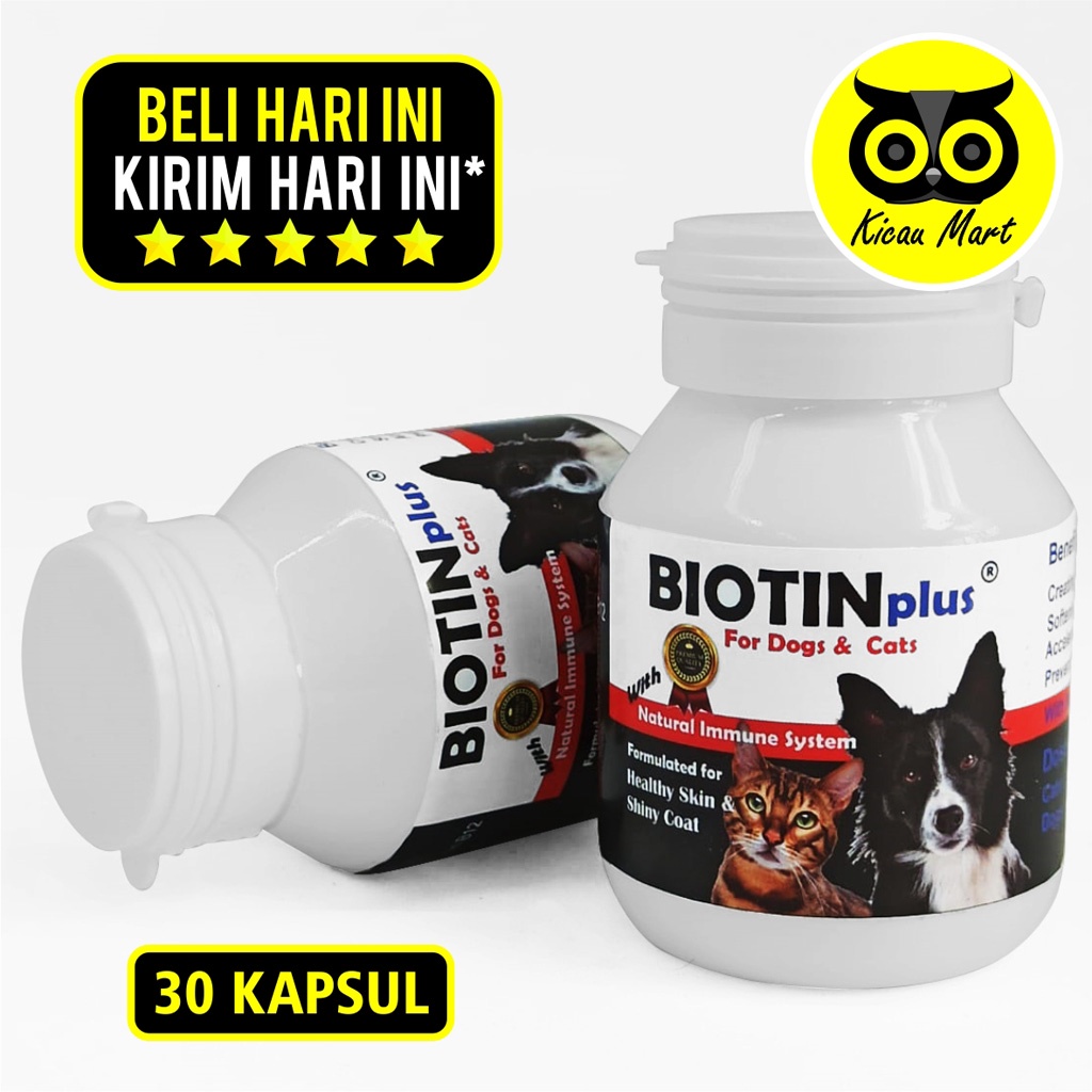 Biotin Plus Vitamin Penumbuh Pelebat Bulu Kucing Anjing Perawatan Bulu Rontok Obat Scabies Penyakit Kulit Suplemen Kucing Anjing Kitten Anabul Bulu Lebat Cat Dog Multivitamin