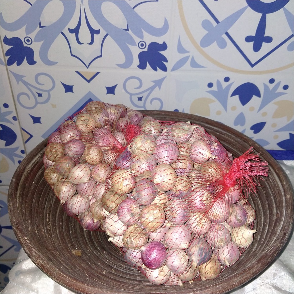 

Bawang Putih Tunggal/Lanang