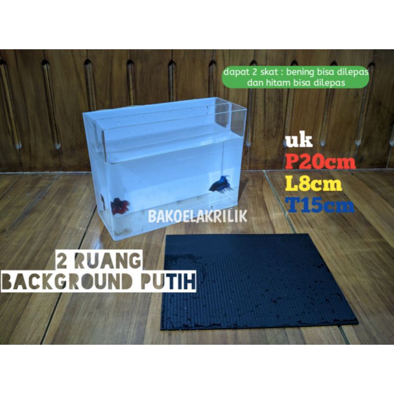 soliter ikan cupang / blurim/ halmoon