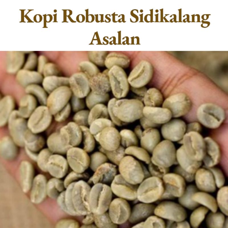 

Kopi Robusta Sidikalang 500gr Asalan Biji Kopi Asalan Kopi Sidikalang