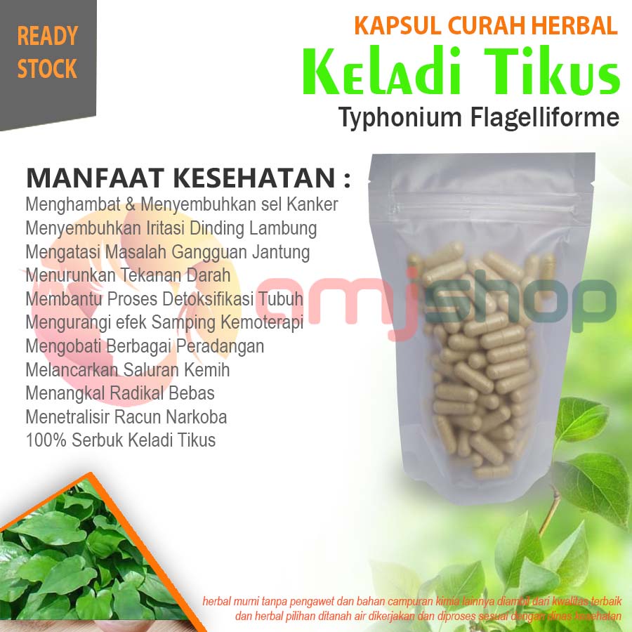 

Kapsul curah herbal keladi tikus kapsul herbal kanker gangguan jantung