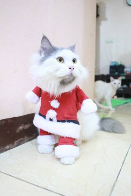 Kostum santa untuk kucing &amp; anjing /Jual Baju Kucing Terlengkap &amp; Berkualitas size S-XL