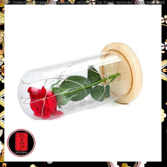 Bunga Mawar Lampu LED Dekorasi Beauty and The Beast Rose