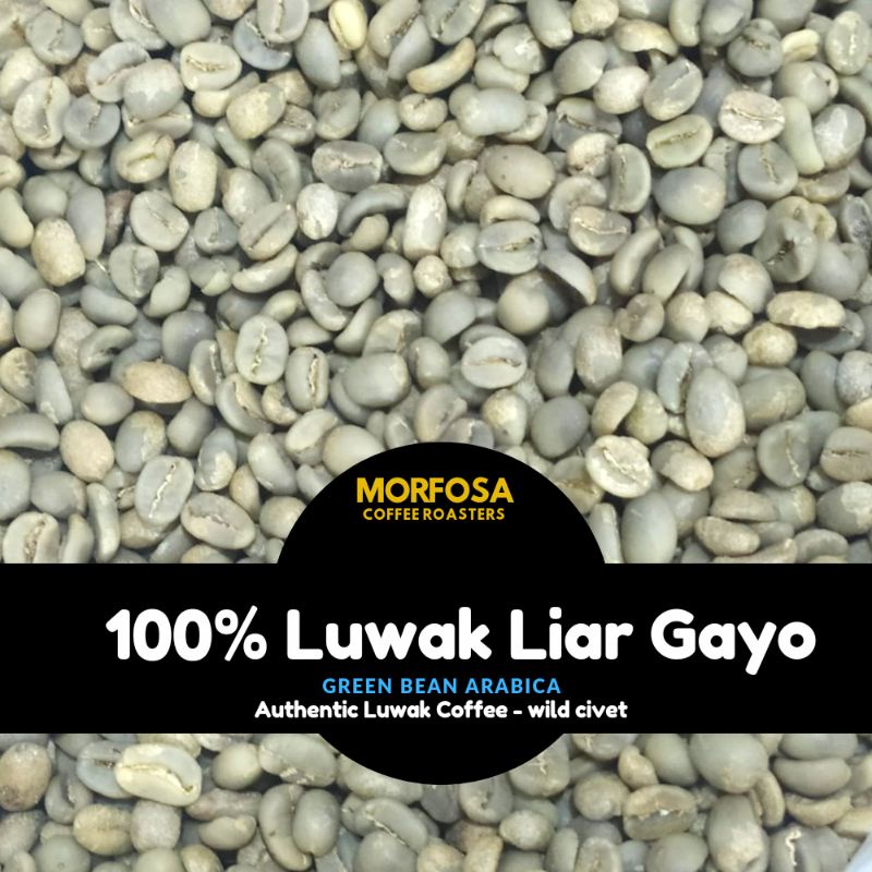 

GREEN BEAN KOPI LUWAK LIAR GAYO 1KG / KOPI LUWAK LIAR GAYO BIJI MENTAH 1 KG