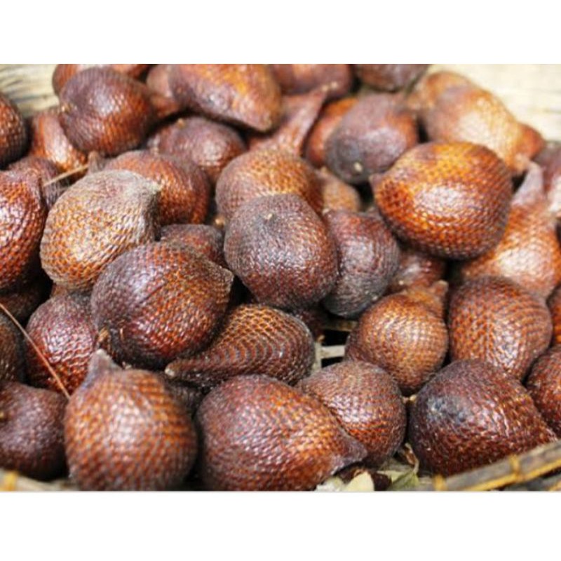 

salak pondoh
