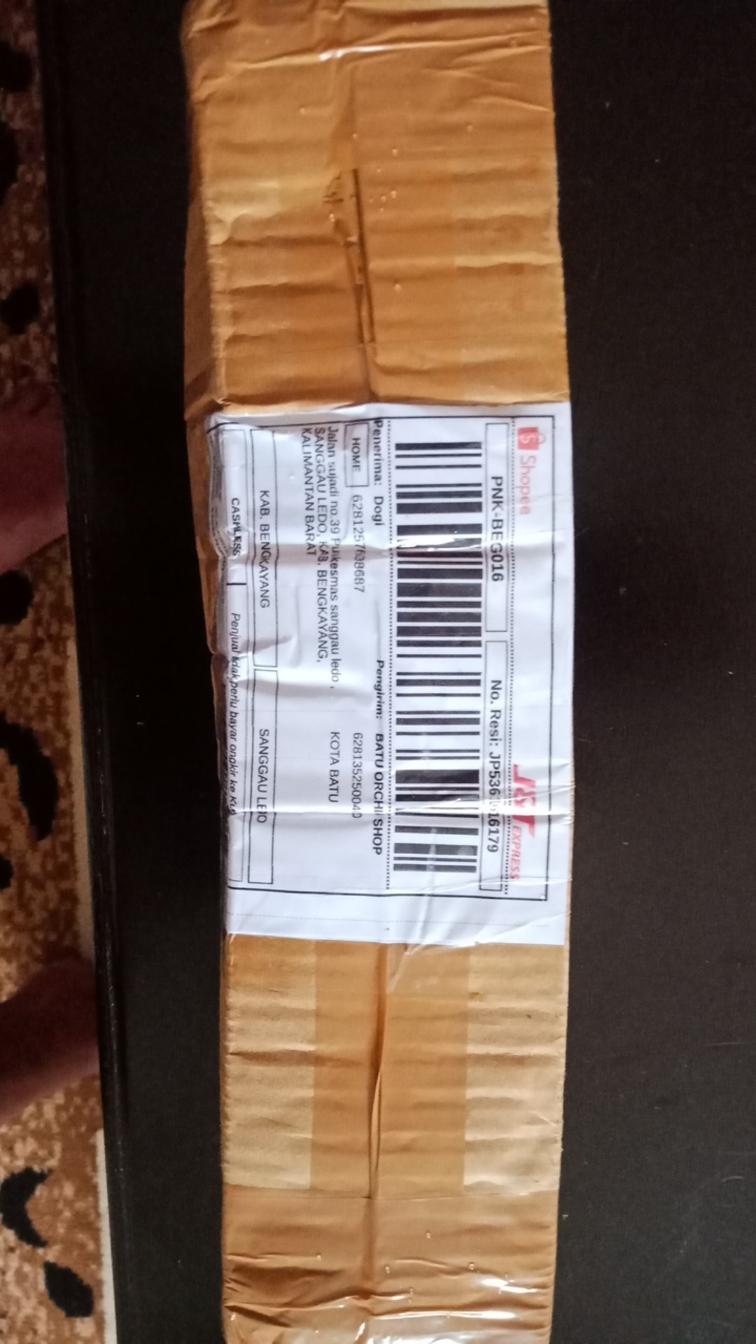 Tanaman Buah Strawberry Jumbo California Cod