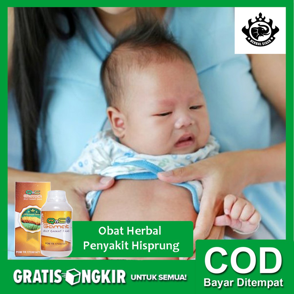 Obat Herbal Penyakit Hisprung (Hirschsprung), Sembelit Berkepanjangan Anak & Dewasa QnC Jelly Gamat