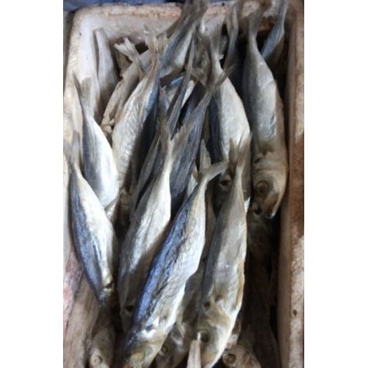 

ikan asin PEDA 250 gram