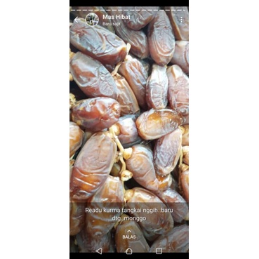 

KURMA TUNIS TANGKAI 500 GR