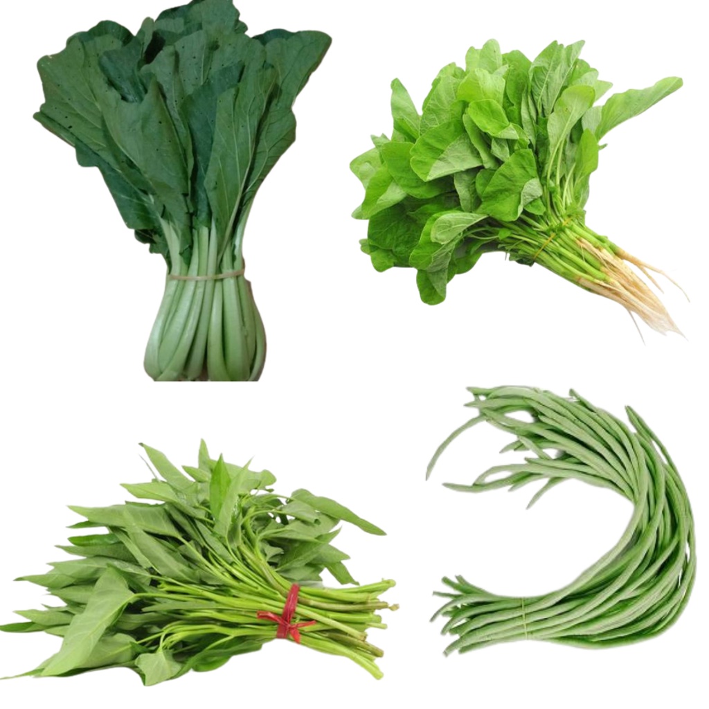 

sawi hijau ,bayam ,kangkung ,kacang panjang organik /ikat murah
