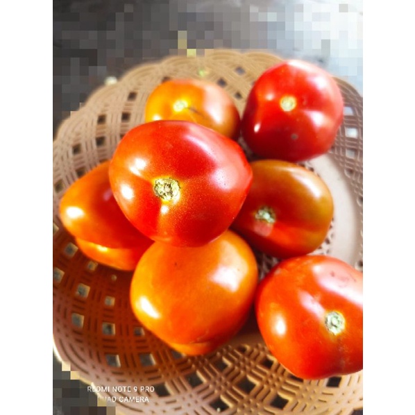 

Tomat 250gram
