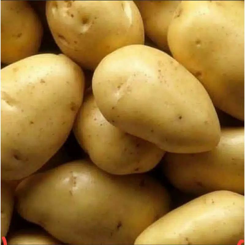 

Kentang Dieng Super 500 gr | Sayuran Fresh Potato