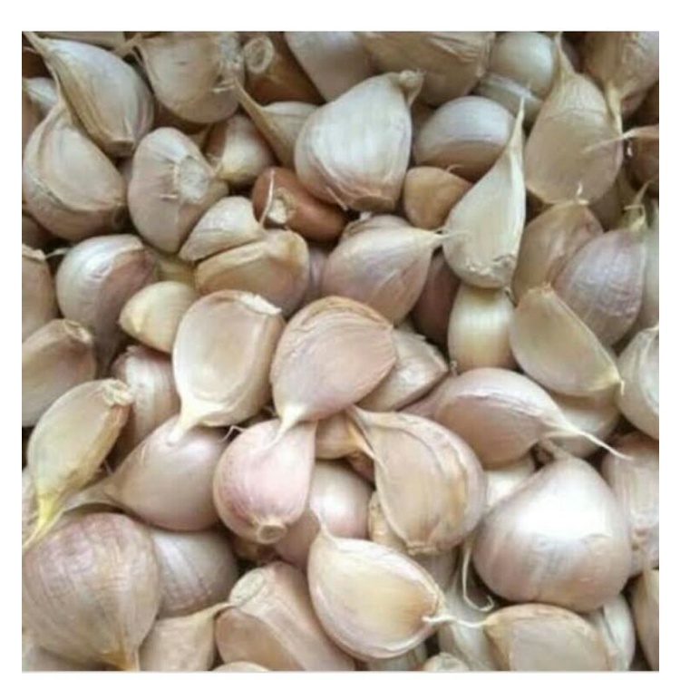 

Bawang Putih Kating Potek 500gr