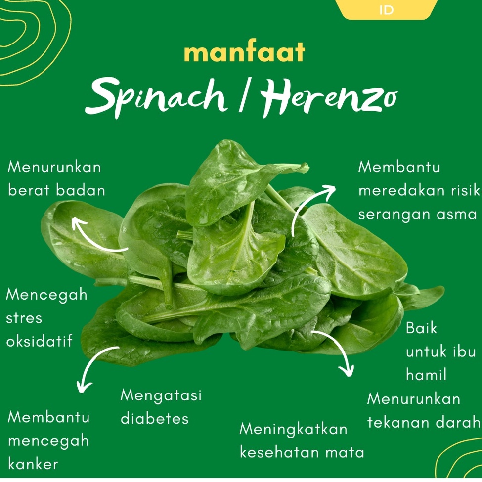 Organicmu - Bayam Horenzo Organik 1 kg