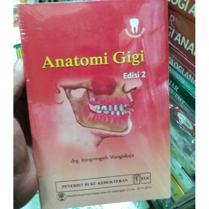 ANATOMI GIGI EDISI 2