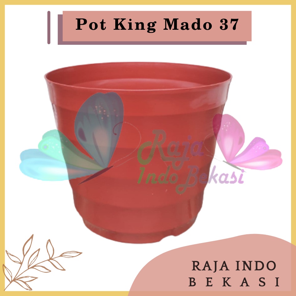 Pot King Mado 37 Putih Hitam Biru Pink Pastel Merah Bata Coklat Terakota Teracota Teraccota Diameter Atas 30 Cm Garden Of Love Pot Plastik Besar Jumbo 40 50 60 Cm Untuk Tanaman Murah Grosir