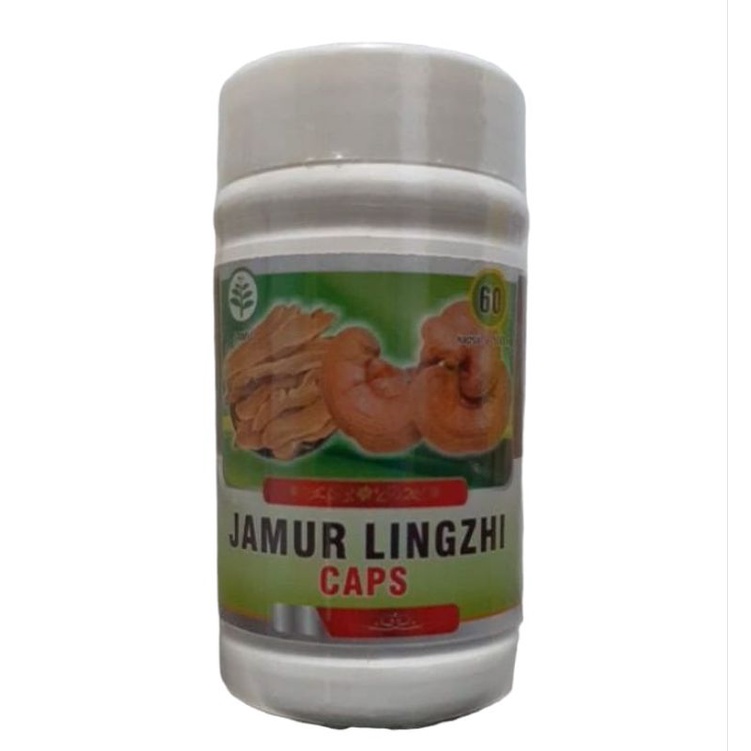 JAMUR LINGZI EXTRAK