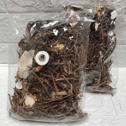 

Liangteh Herbal Pereda Panas Dalam kemasan 90gram