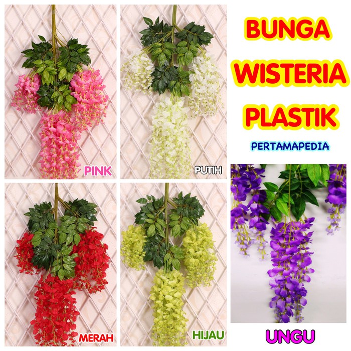 bunga bunga wisteria putih