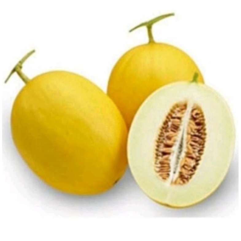 

Melon golden/per (1buah)