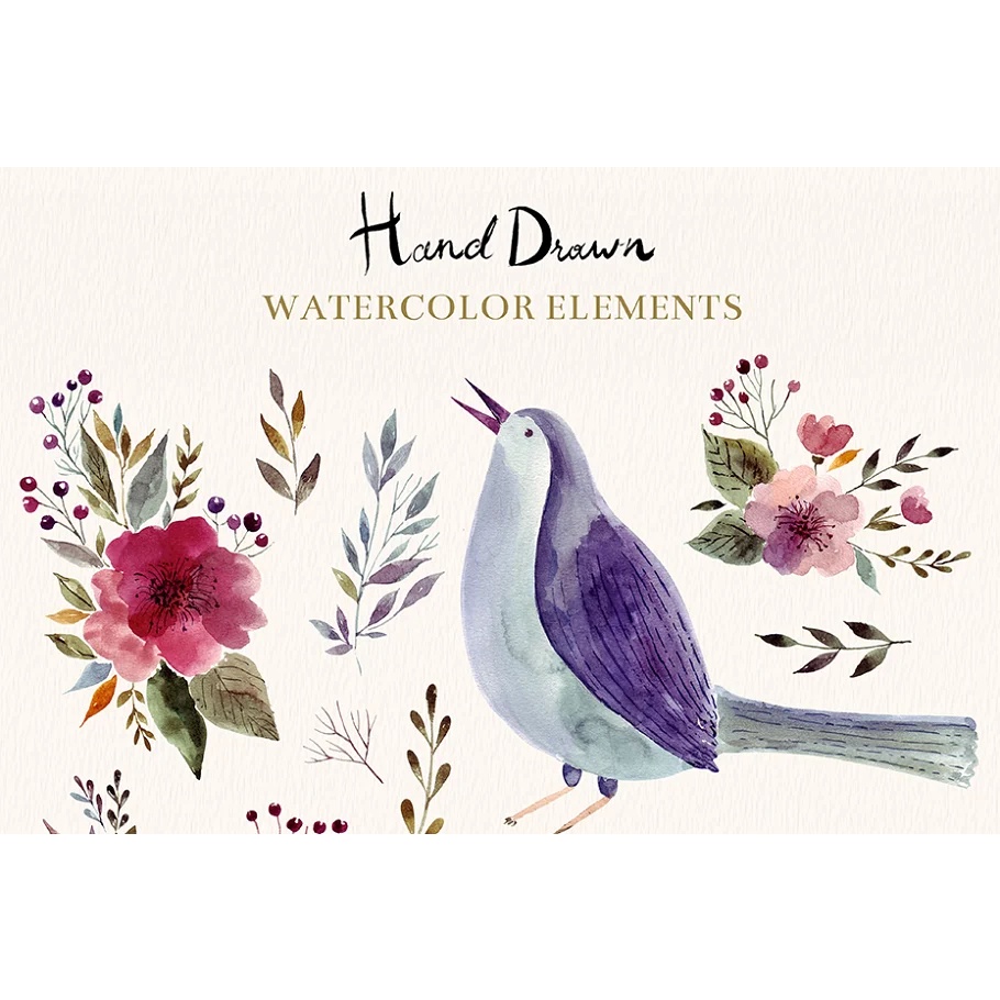 Hand Drawn Watercolor Set