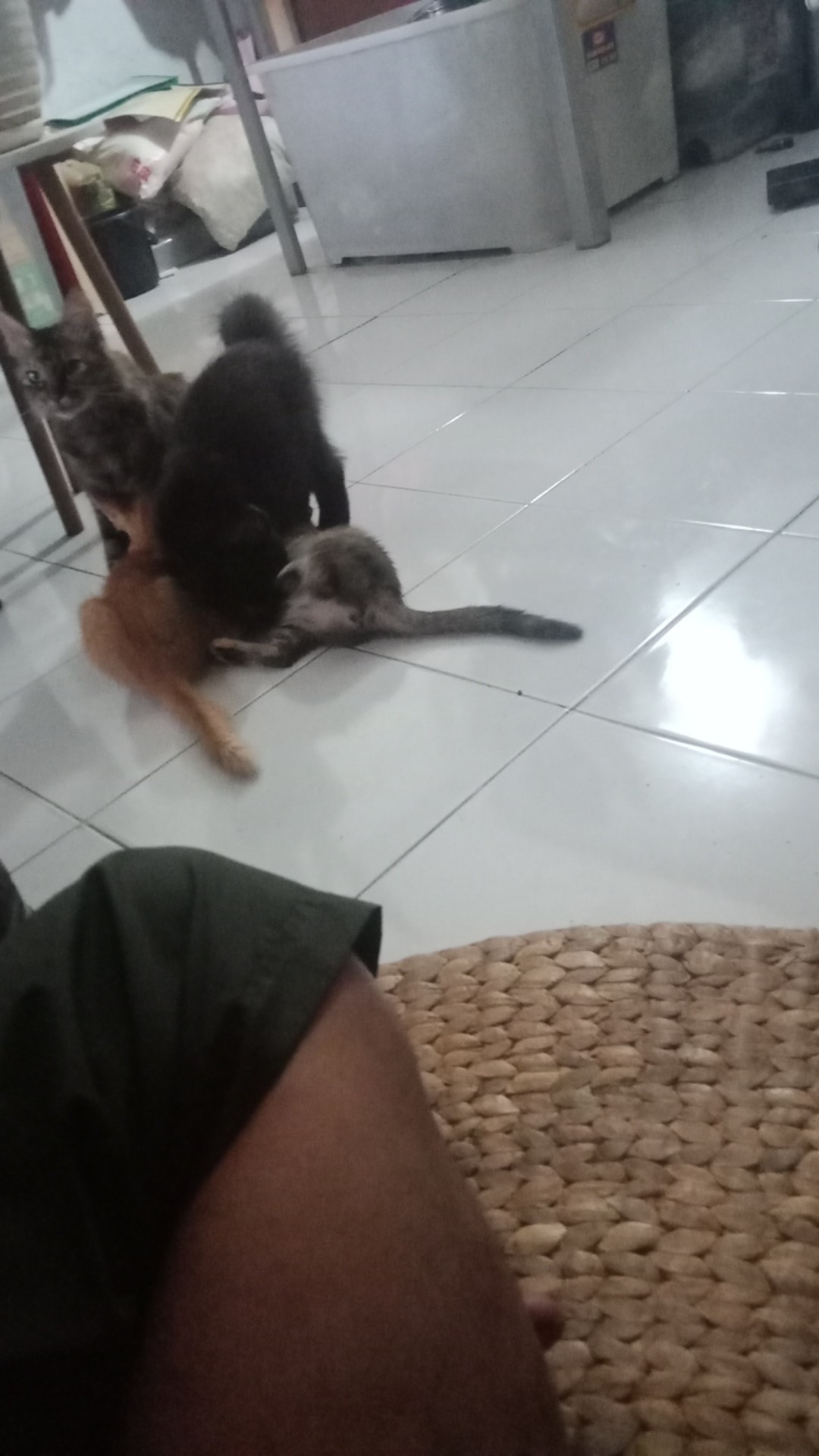 Pisau Golok Cincang - Pisau Daging Dan Tulang