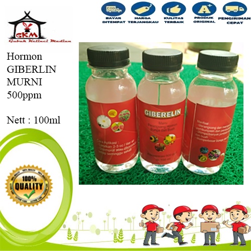 Hormon Tanaman Giberelin Murni 100ml