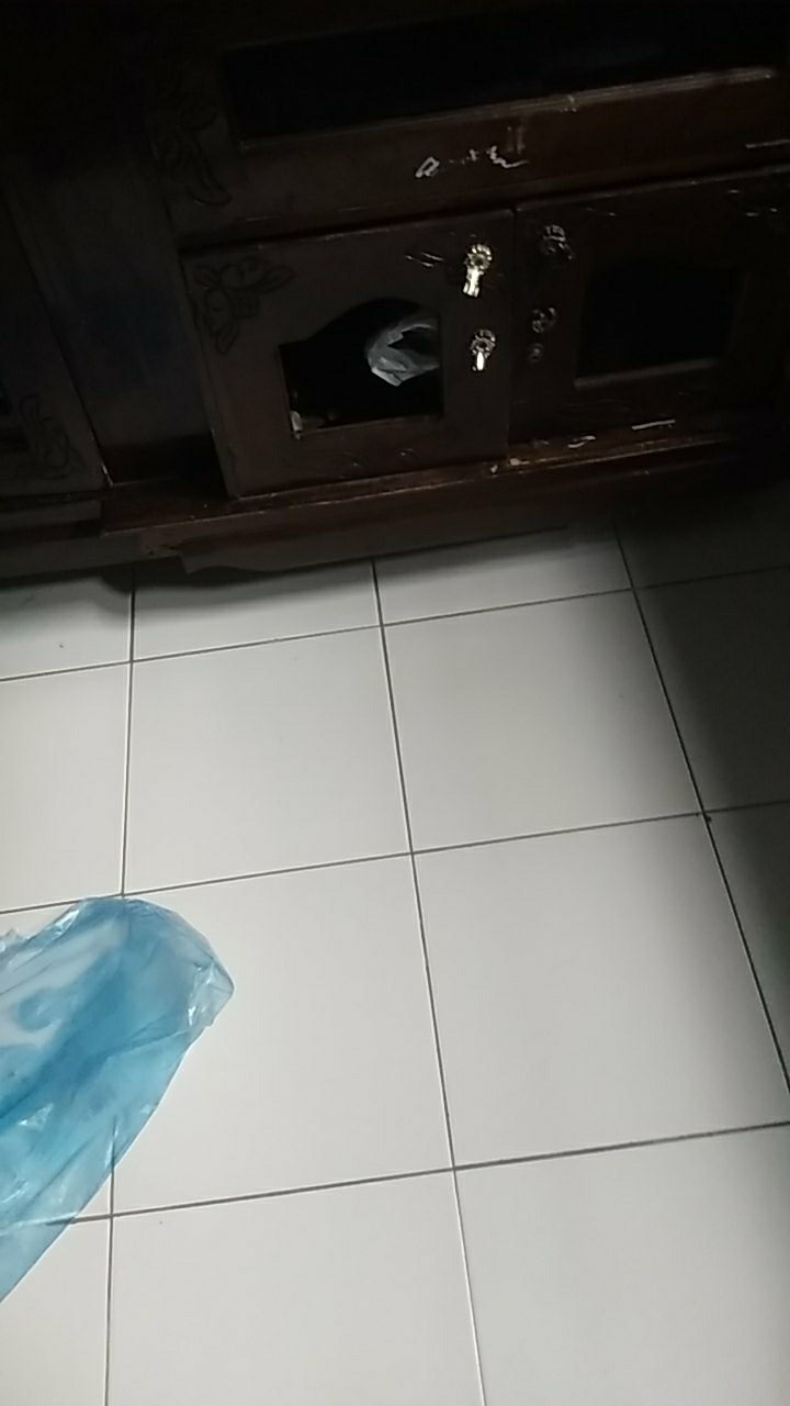 Raket Nyamuk Multifungsi Murah