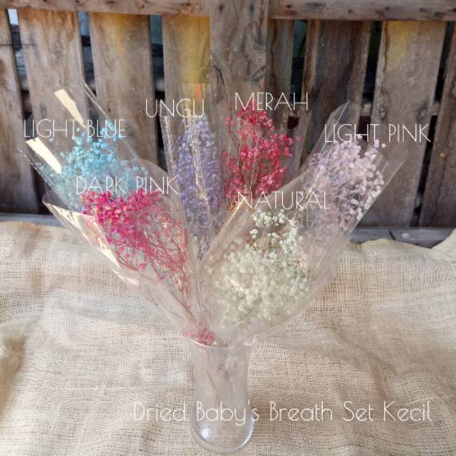 BUNGA KERING BABY BREATH DRIED BABY BREATH FLOWER SET SEDANG DECOR KAMAR AESTHETIC