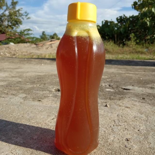 

Madu asli murni hutan palembang
