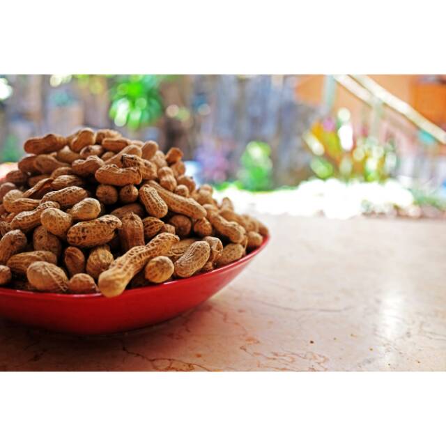 

Kacang kulit oven 500gr