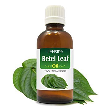 Piper Betle Essential Oil Minyak Atsiri Daun Sirih Hijau Betel Leaf