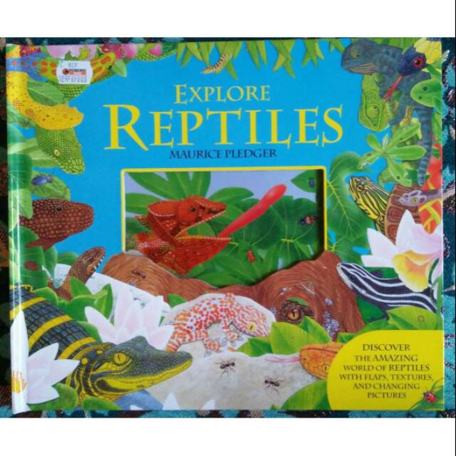 Explore reptiles by Maurice Pledger