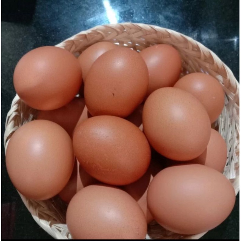 

Telur Ayam Negeri Premium Fresh/Kg