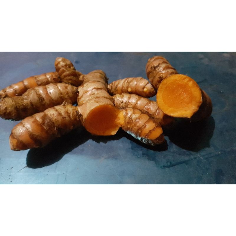 Jual Kunyit Kunir 1kg Fresh Indonesiashopee Indonesia 3766