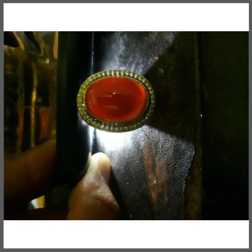 

yaman sawo kecik merah