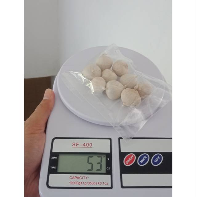 

Bawang tunggal lanang lokal dan import