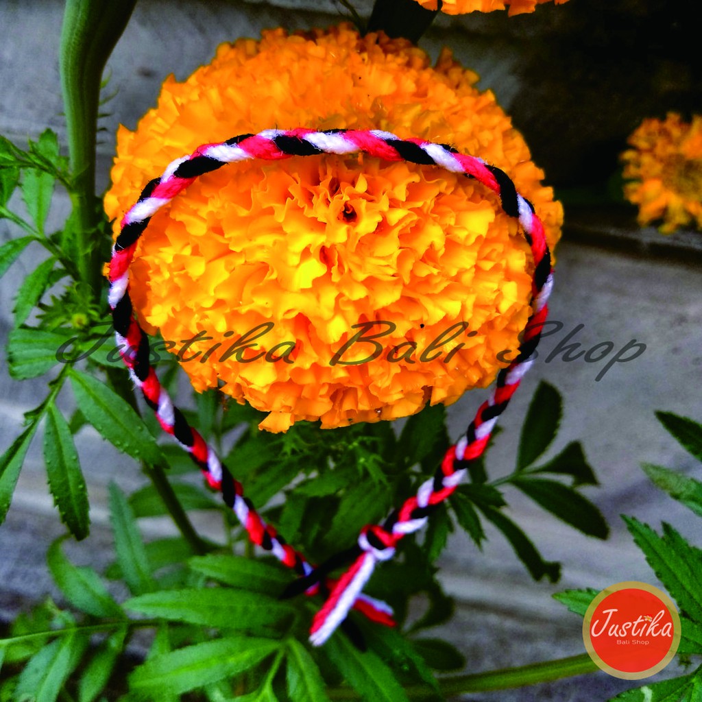 Gelang Tridatu Varian Ulatan/ Benang Tridatu